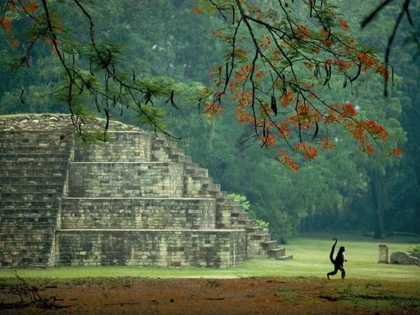 A monkey wakling in front of a pyramid